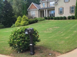 Calvin H.'s Lawn Mowing Service service result