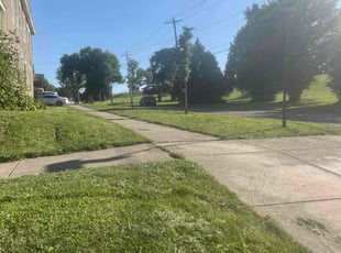 Ryan M.'s Lawn Service service result