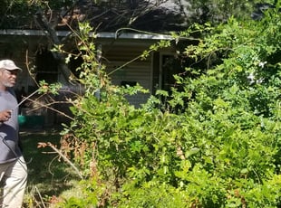 Cleanups by Isaac Thomas for Otis P. in Baton Rouge, LA