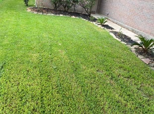 Moleika B.'s Lawn Care service result
