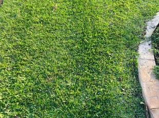 Kevin M.'s Lawn Care service result