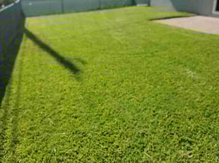 Larry H.'s Lawn Mowing service result
