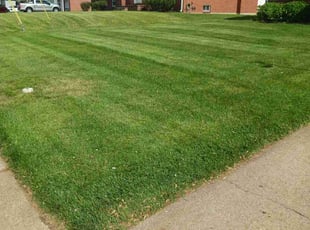 Lisa G.'s Lawn Mowing Service service result