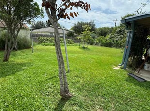 ANNIE C.'s Lawn Maintenance service result