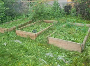 Weeding by Jason Bickler for Laurel D. in Boulder, CO