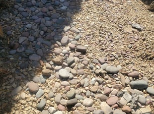 Weeding by Lamont Johnson for Karen C. in Las Vegas, NV
