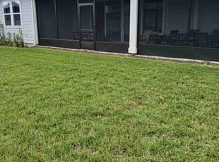 Samantha M.'s Lawn Mowing service result