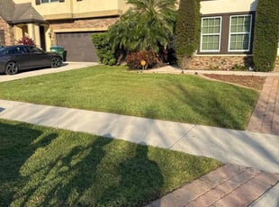Marjorie H.'s Lawn Service service result