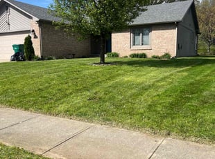 Cody R.'s Yard Cutting service result