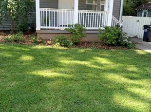 Bobby Z.'s Lawn Mowing Service service result