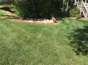 MaryAnn K.'s Lawn Maintenance service result