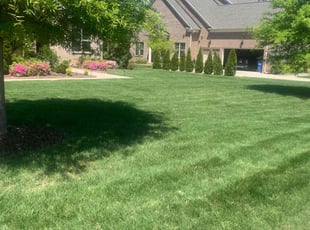 Shonna R.'s Lawn Mowing Service service result