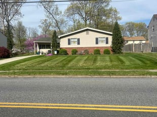 Nick G.'s Lawn Mowing service result