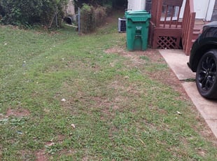 Leaf Removal by Quintauris Ashmon for Roxanna J. in Lithonia, GA