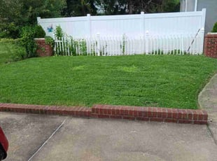Laura L.'s Lawn Maintenance service result