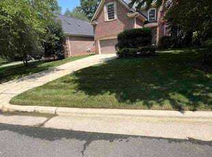 Donald P.'s Lawn Care service result
