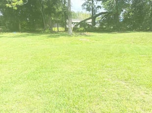 Kayla G.'s Lawn Care service result