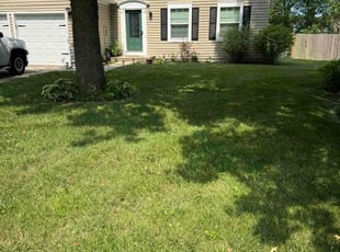 Sophia M.'s Lawn Care service result