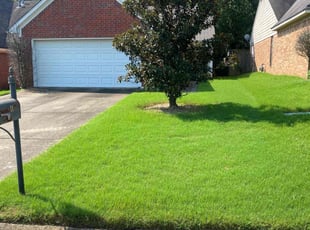 Michael D.'s Lawn Care service result