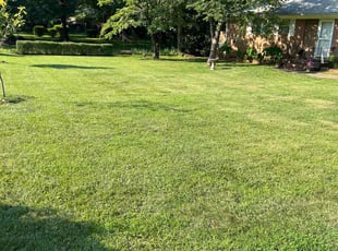Ward N.'s Grass Cutting service result