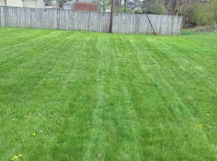Cedrick h.'s Lawn Maintenance service result