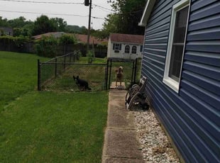 Cleanups by Steveland Harris for Greg R. in Bowie, MD