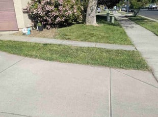 Karen S.'s Lawn Maintenance service result
