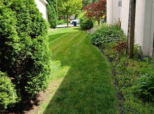 Trish A.'s Lawn Mowing Service service result