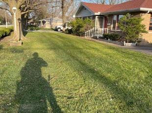 Mary J.'s Yard Cutting service result