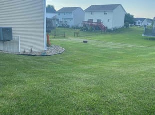 Crystal E.'s Lawn Mowing service result