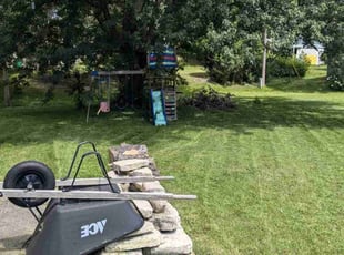 Steve P.'s Yard Cutting service result