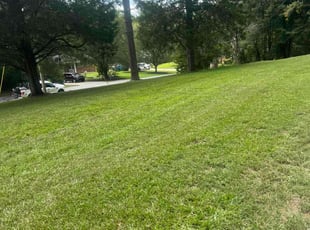 Kathryn H.'s Lawn Care service result