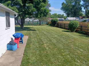 Steban G.'s Grass Cutting service result