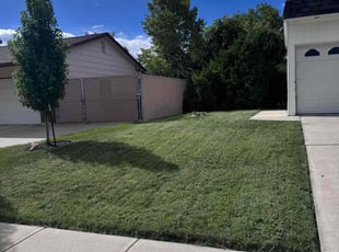 Elizabeth E.'s Yard Cutting service result