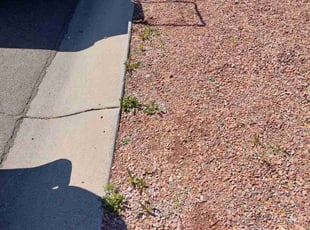 Weeding by Marvin Gray for Nathan W. in Phoenix, AZ