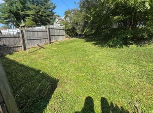 Raisul B.'s Lawn Mowing service result