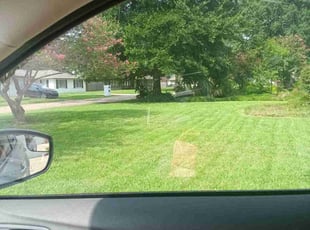 Kyle s.'s Lawn Maintenance service result