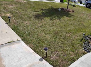 Weeding by Emmanuel Odeh Adimah for Brandon J. in Fairburn, GA