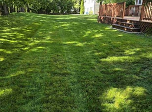 Elizabeth K.'s Lawn Care service result