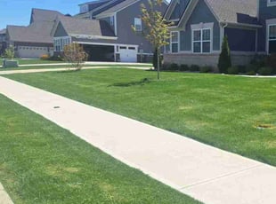 Oladapo A.'s Lawn Mowing Service service result