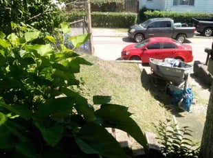Catherine V.'s Lawn Mowing Service service result