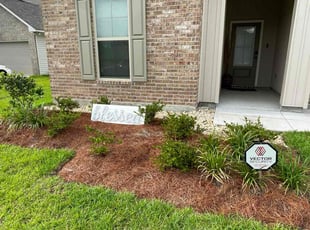 Weeding by Gary Barner for chris s. in Port Allen, LA