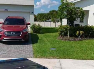Tasha C.'s Lawn Care service result