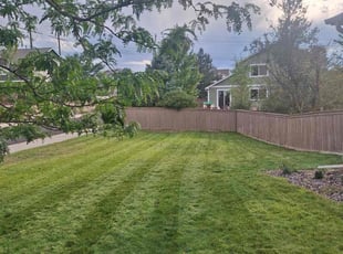 Jennifer S.'s Lawn Care service result
