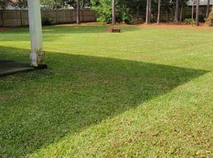 Jessica M.'s Grass Cutting service result