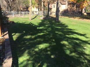 Leaf Removal by Don Hansen for Lynn M. in Coon Rapids, MN