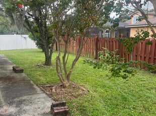 Pedro R.'s Yard Cutting service result