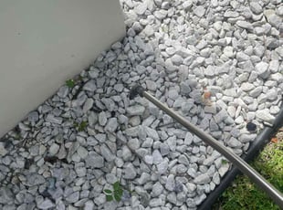 Weeding by Charles Walton for Andrew S. in Boynton Beach, FL