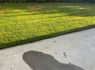 Patience A.'s Lawn Mowing service result