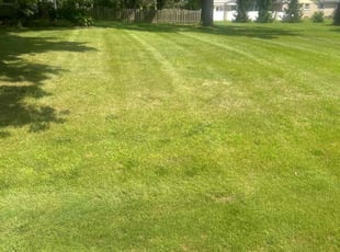 Charles W.'s Lawn Mowing Service service result